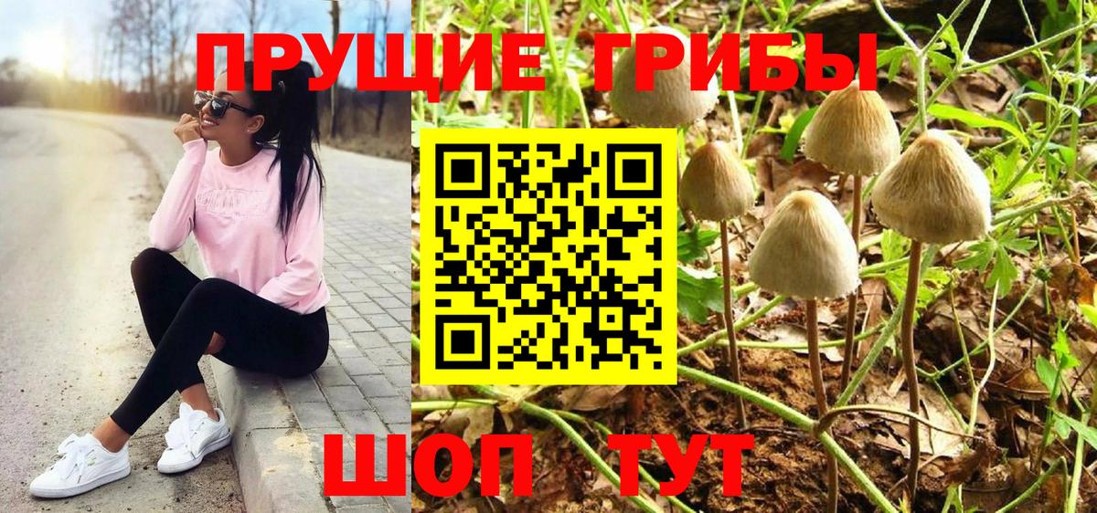 Галлюциногенные грибы Cubensis  Псилоцибиновые грибы Cubensis  Маркс  Вход с VPN 
